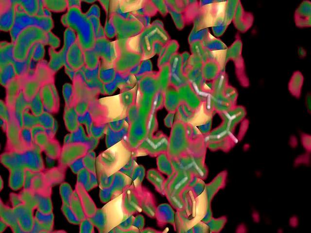Oligomycin Density Map